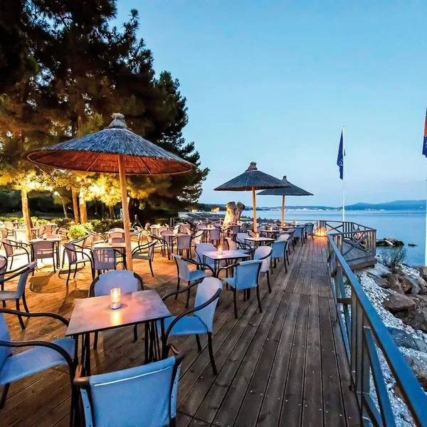 Blue Dolphin - zdjęcie 4