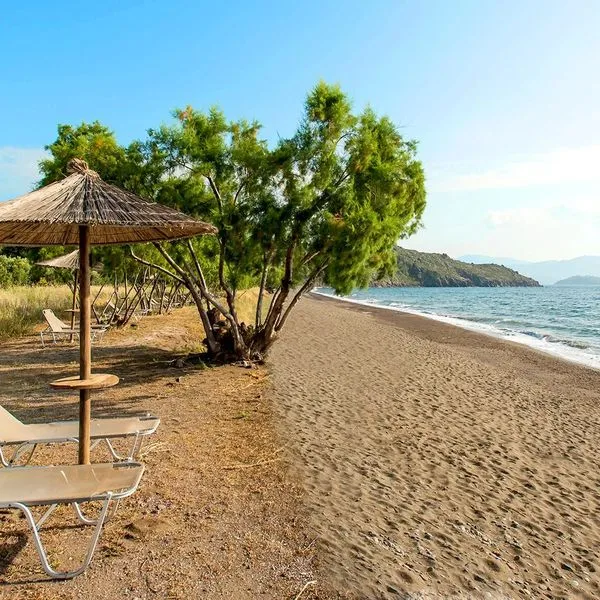 Delfinia Beach and Bungalows (Molivos) - zdjęcie 3