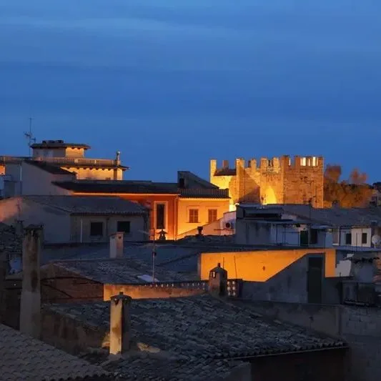 Alcudia Petit - zdjęcie 4