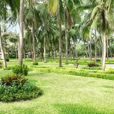 Dessole Sea Lion Beach Resort & Spa - zdjęcie 3