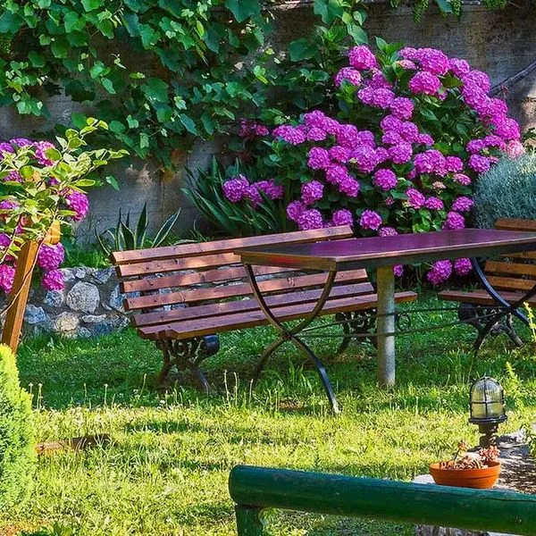 Xenonas - zdjęcie 5