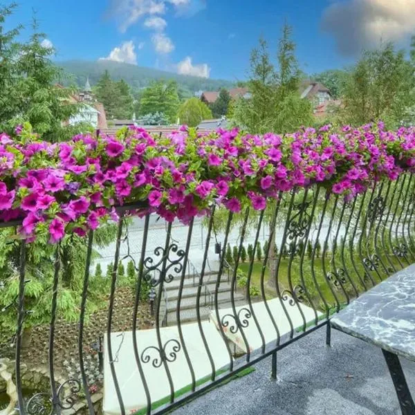 Kryształ (Świeradów Zdrój) - zdjęcie 5