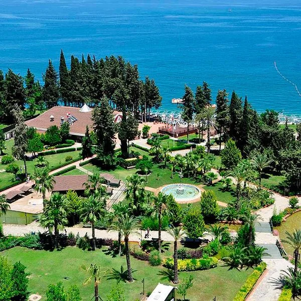 Rox Royal (ex. Grand Haber) - zdjęcie 4