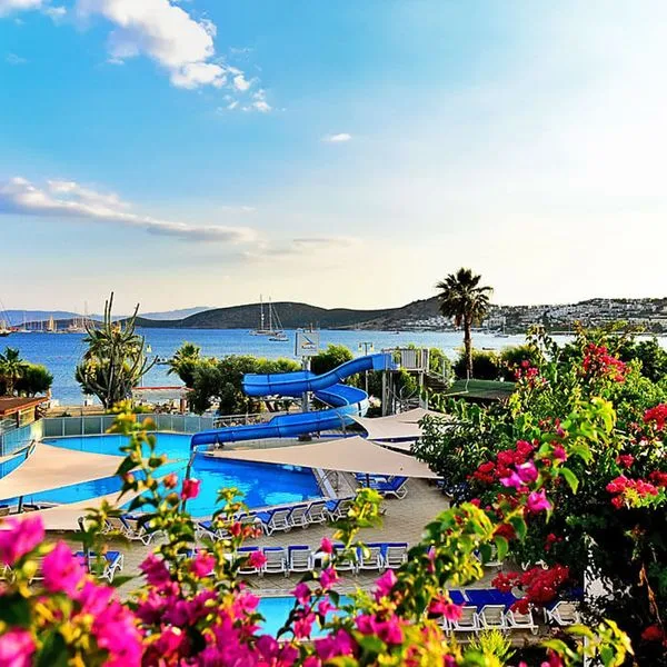 Parkim Ayaz - zdjęcie 3