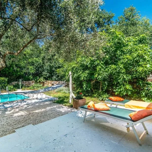 Casa Peronospora - zdjęcie 2