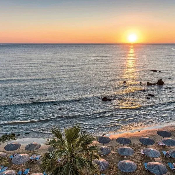 Corissia Princess - zdjęcie 3