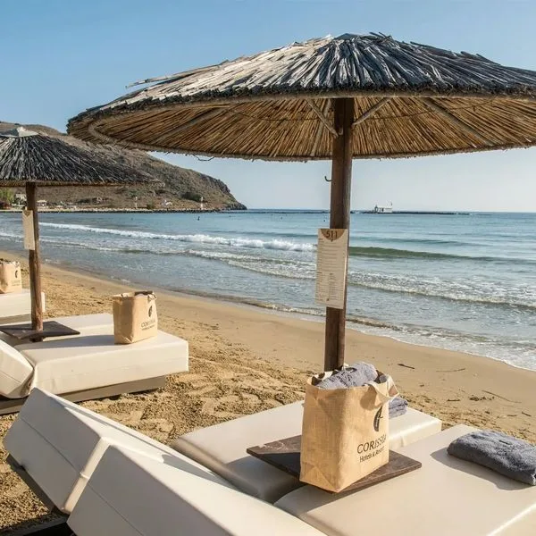 Corissia Princess - zdjęcie 4