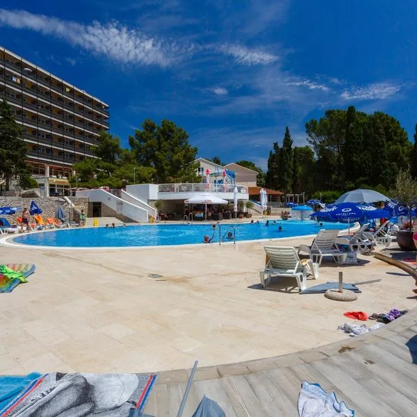 Drazica - zdjęcie 3