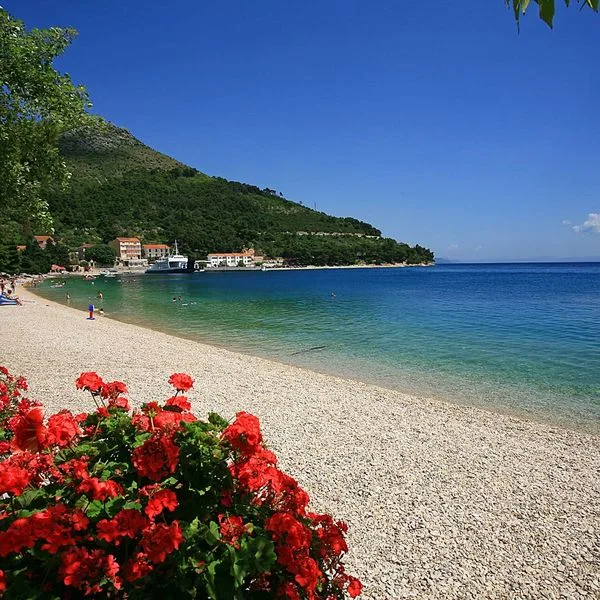 Quercus (Drvenik) - zdjęcie 2