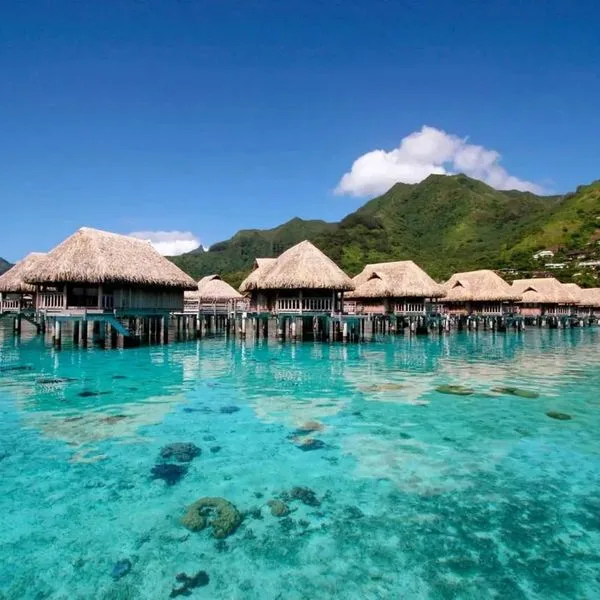 Sofitel Moorea Kia Ora Beach Resort - zdjęcie 5