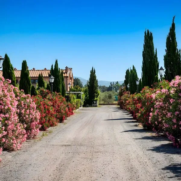 Residence Borgo Verde - zdjęcie 2