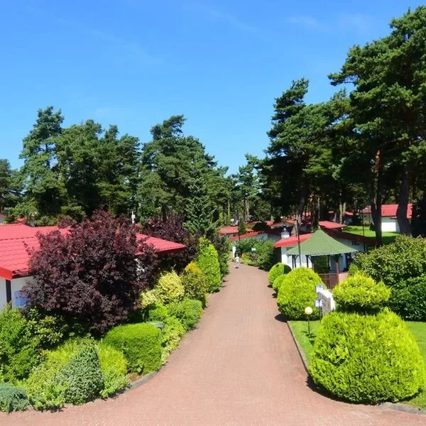 Panorama Morska - Health Resort & Medical SPA - zdjęcie 5