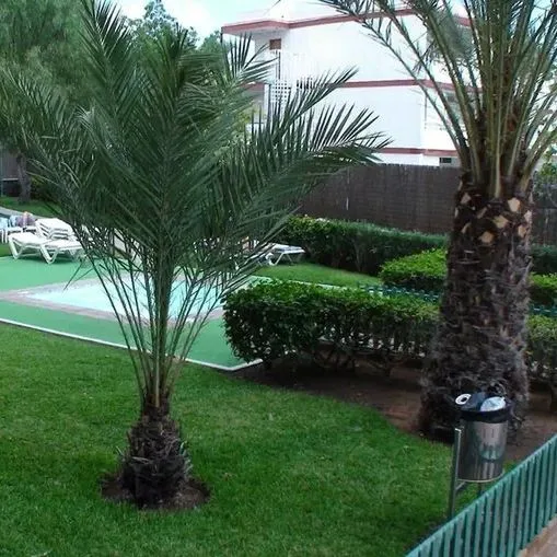 Principado - zdjęcie 4