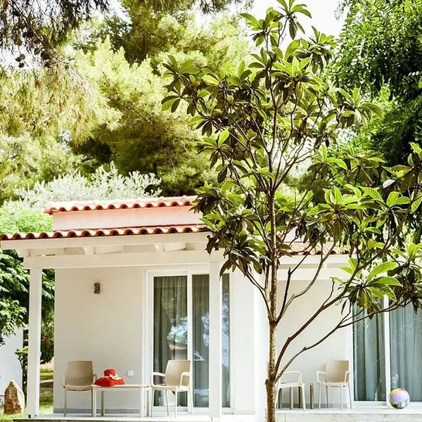 Mimoza Beach - zdjęcie 4