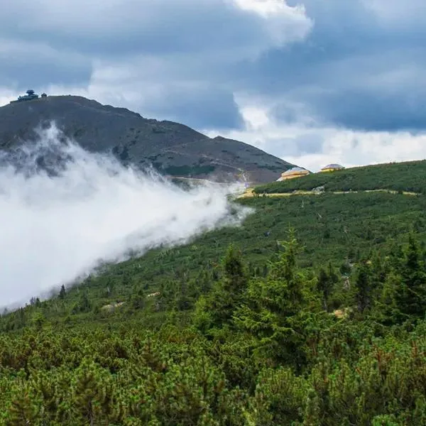 Zgoda DW - zdjęcie 2