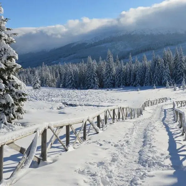 Zgoda DW - zdjęcie 3