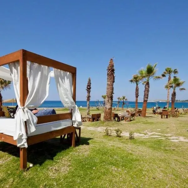 Amphora (Paphos) - zdjęcie 4