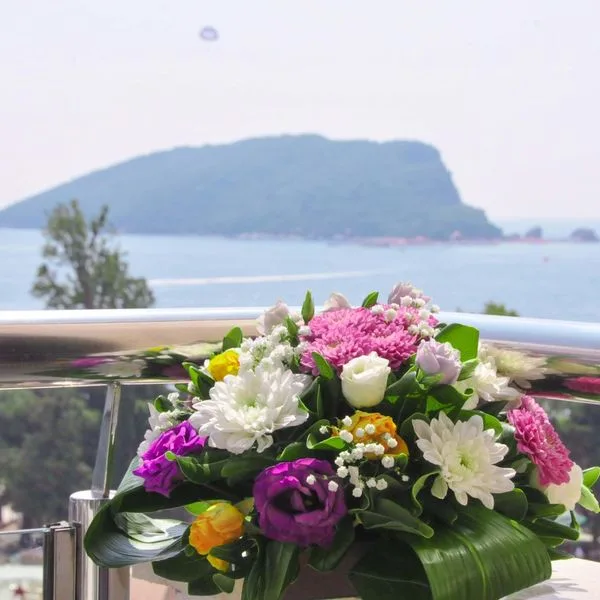 Bracera - zdjęcie 3