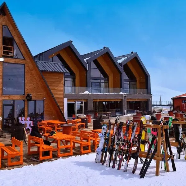 Das 3917 - zdjęcie 4