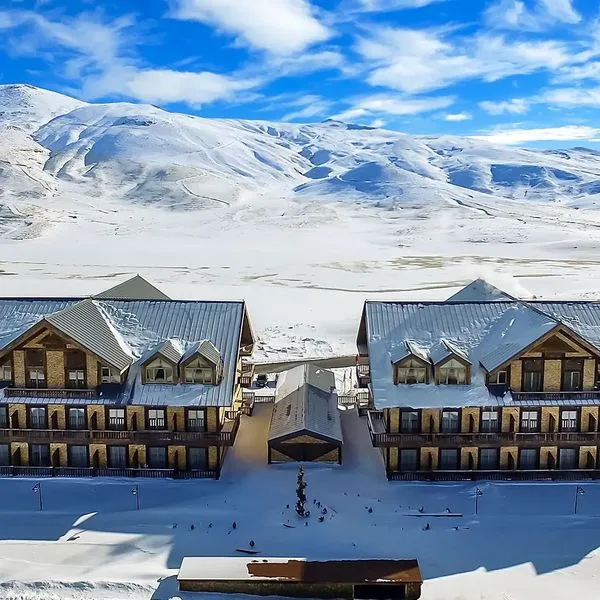 Das 3917 - zdjęcie 2