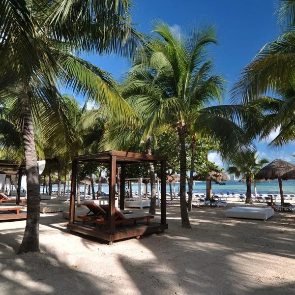 Oasis Palm - zdjęcie 4