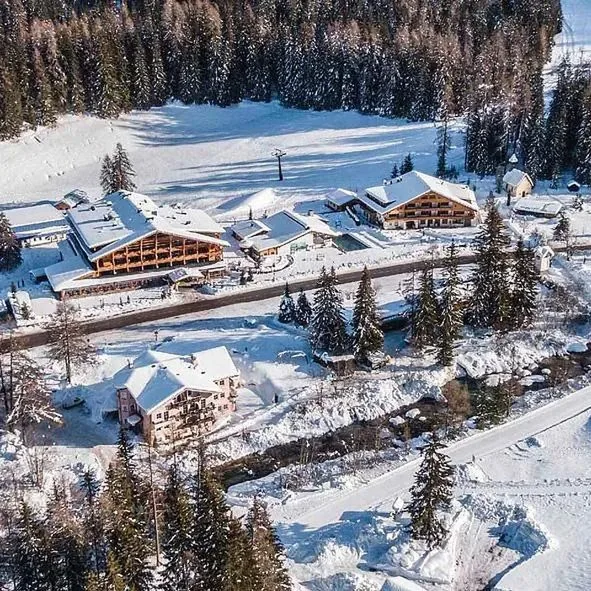 Bad Moos - zdjęcie 2