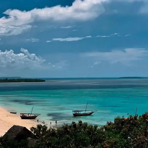 Palumbo Waves - zdjęcie 4