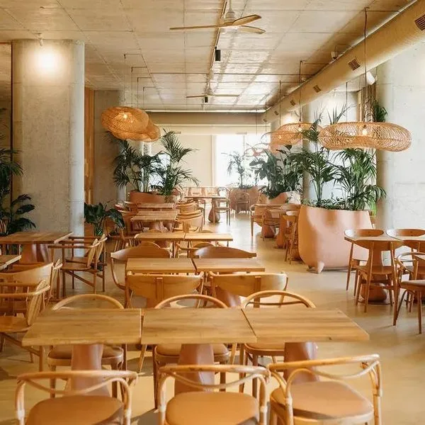 Epidamn White Sensation - zdjęcie 3