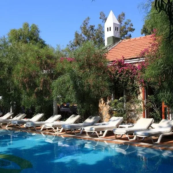 Okaliptus - zdjęcie 3