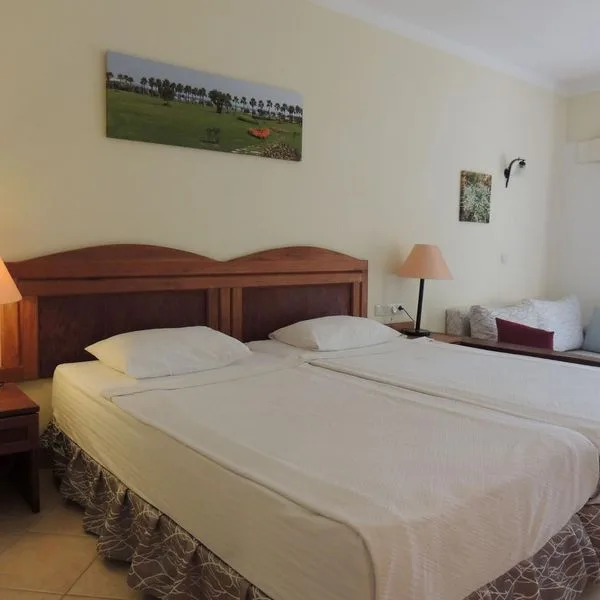 Okaliptus - zdjęcie 4