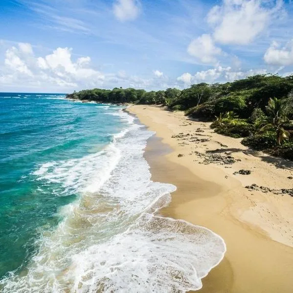 Natura Cabana - zdjęcie 2