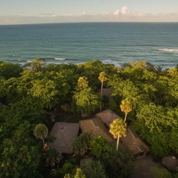 Natura Cabana - zdjęcie 3