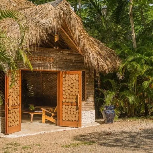 Natura Cabana - zdjęcie 5