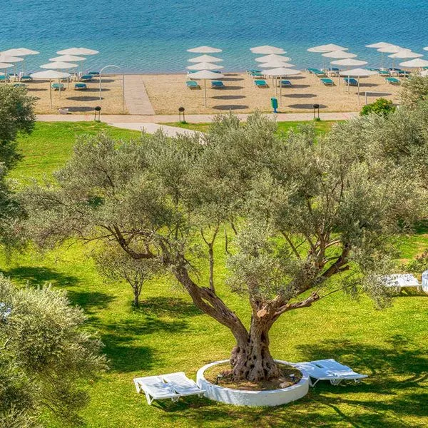 Palmariva Beach (ex. Bomo Palmariva Beach) - zdjęcie 4