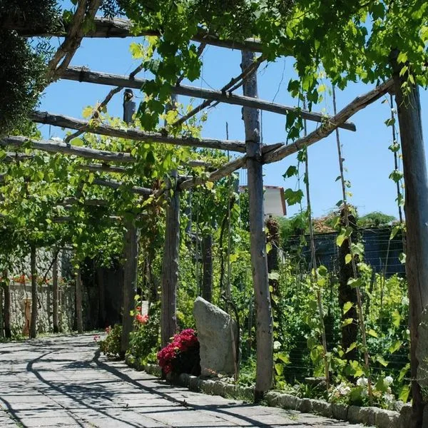 Villa Cimmentorosso - zdjęcie 4