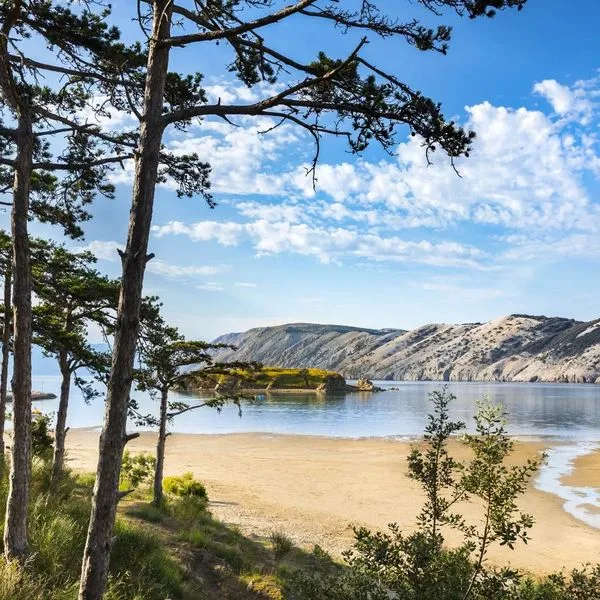 San Marino Sunny Resort - Sahara Rab - zdjęcie 3