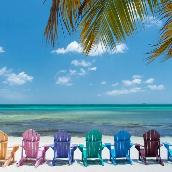 Divi Phoenix Beach Resort - zdjęcie 2