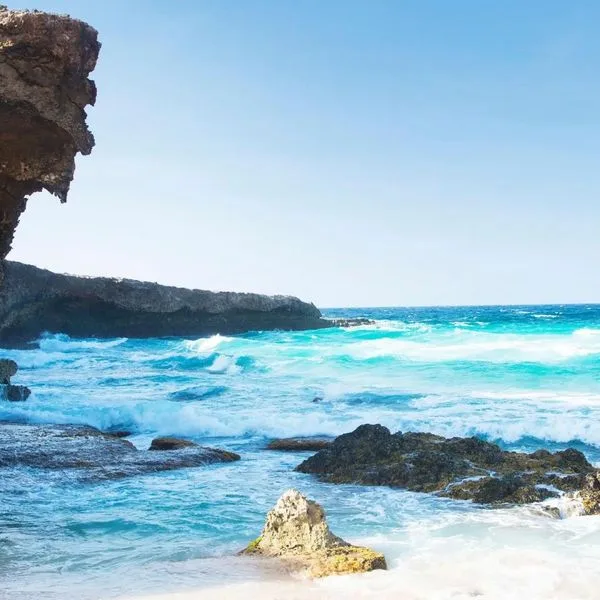 Divi Phoenix Beach Resort - zdjęcie 3