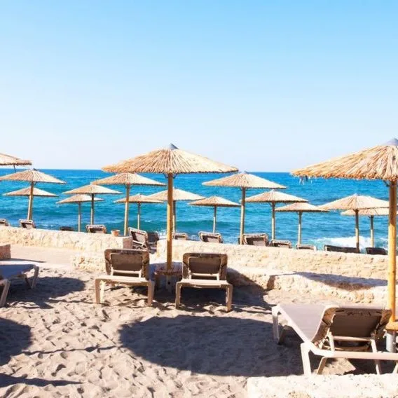 Cactus Bay - zdjęcie 4