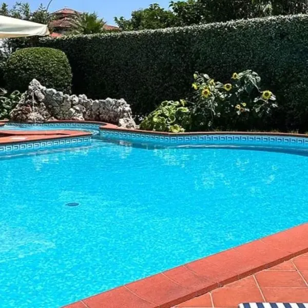 Andreaneri - zdjęcie 5