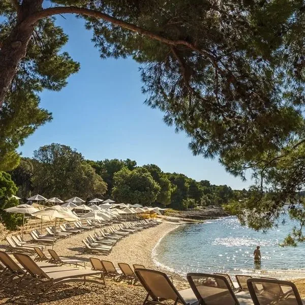 Family Amarin - zdjęcie 2