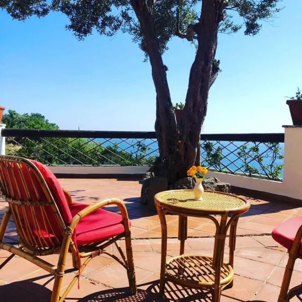 Resort Punto Azzurro - zdjęcie 2