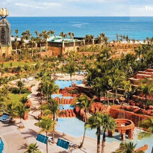 The Reef Atlantis - zdjęcie 3