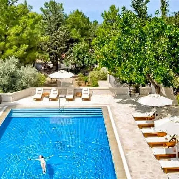 Gillham Vineyard - zdjęcie 2