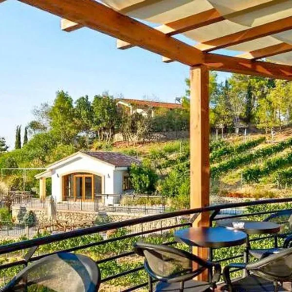 Gillham Vineyard - zdjęcie 5