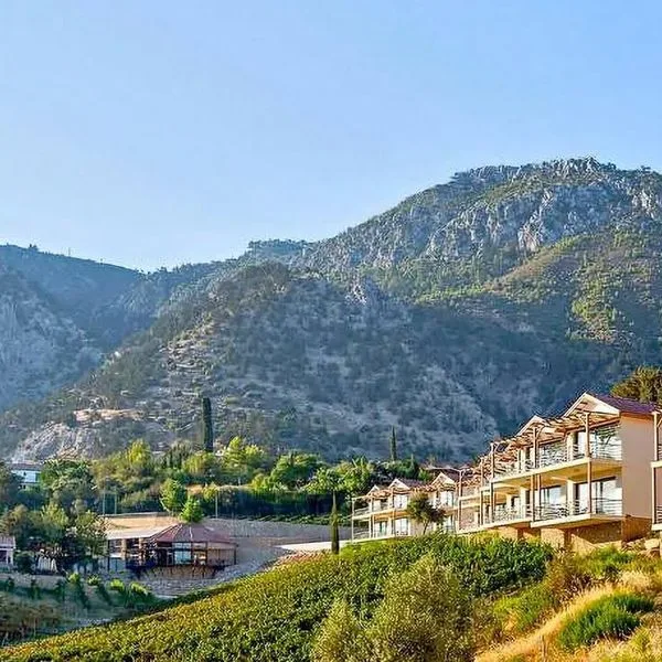 Gillham Vineyard - zdjęcie 3