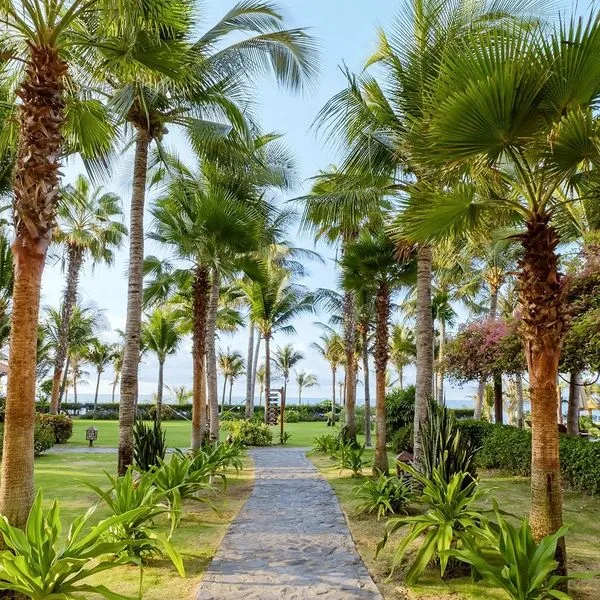 Sunny Beach Resort - zdjęcie 4