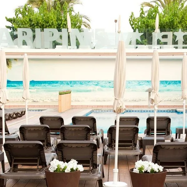 Alegria Maripins (ex. Fergus Maripins) - zdjęcie 2