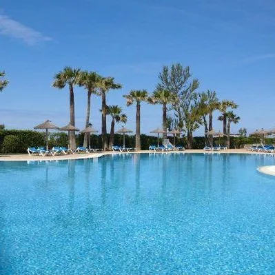 Sol Milanos Pinguinos - zdjęcie 2