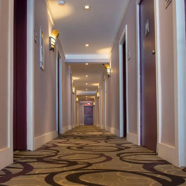 Shelley - zdjęcie 2